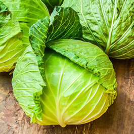 organic cabbage seeds
