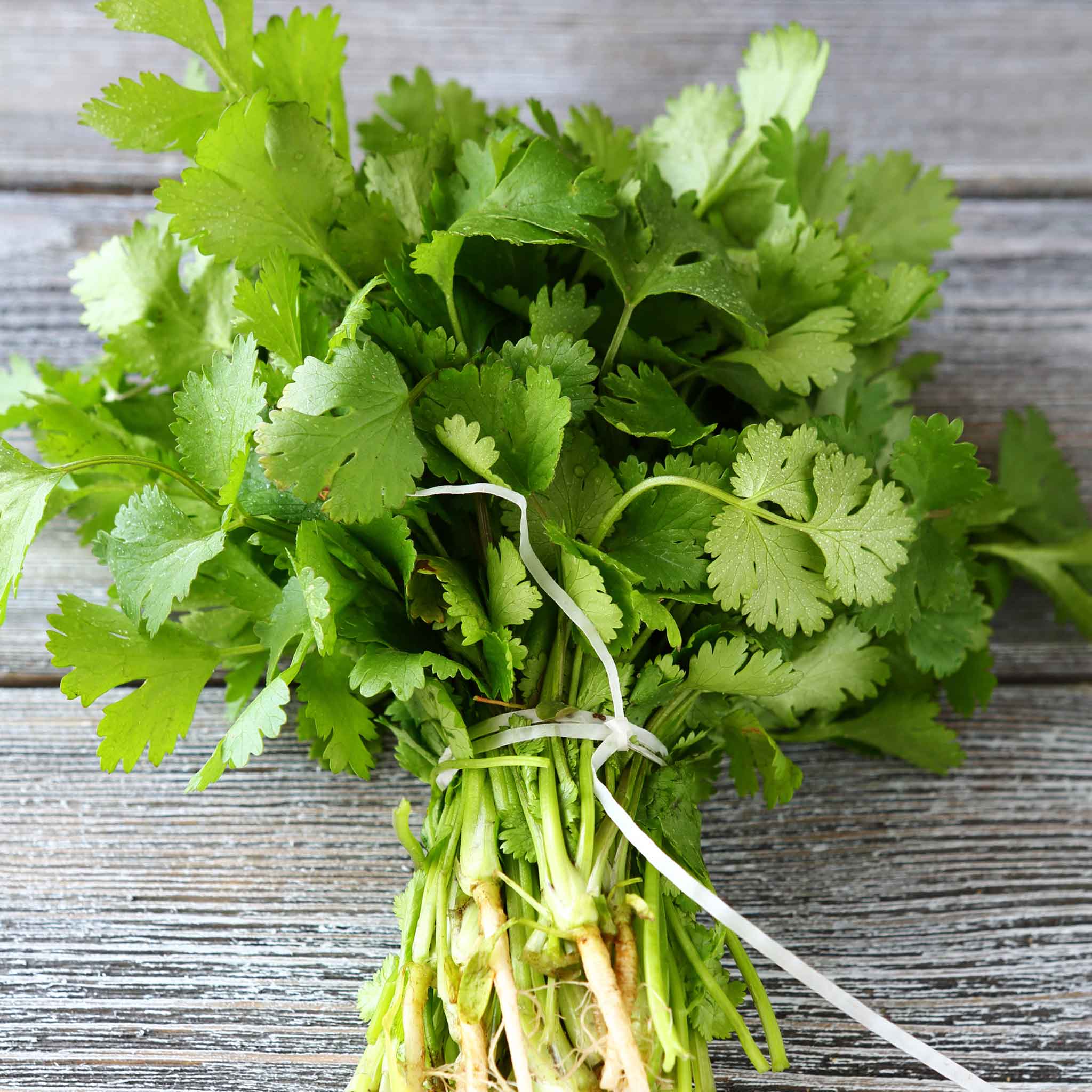 coriander seeds
