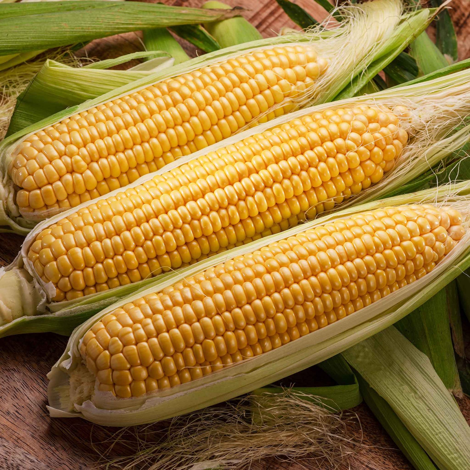 Corn Seeds (Heirloom)