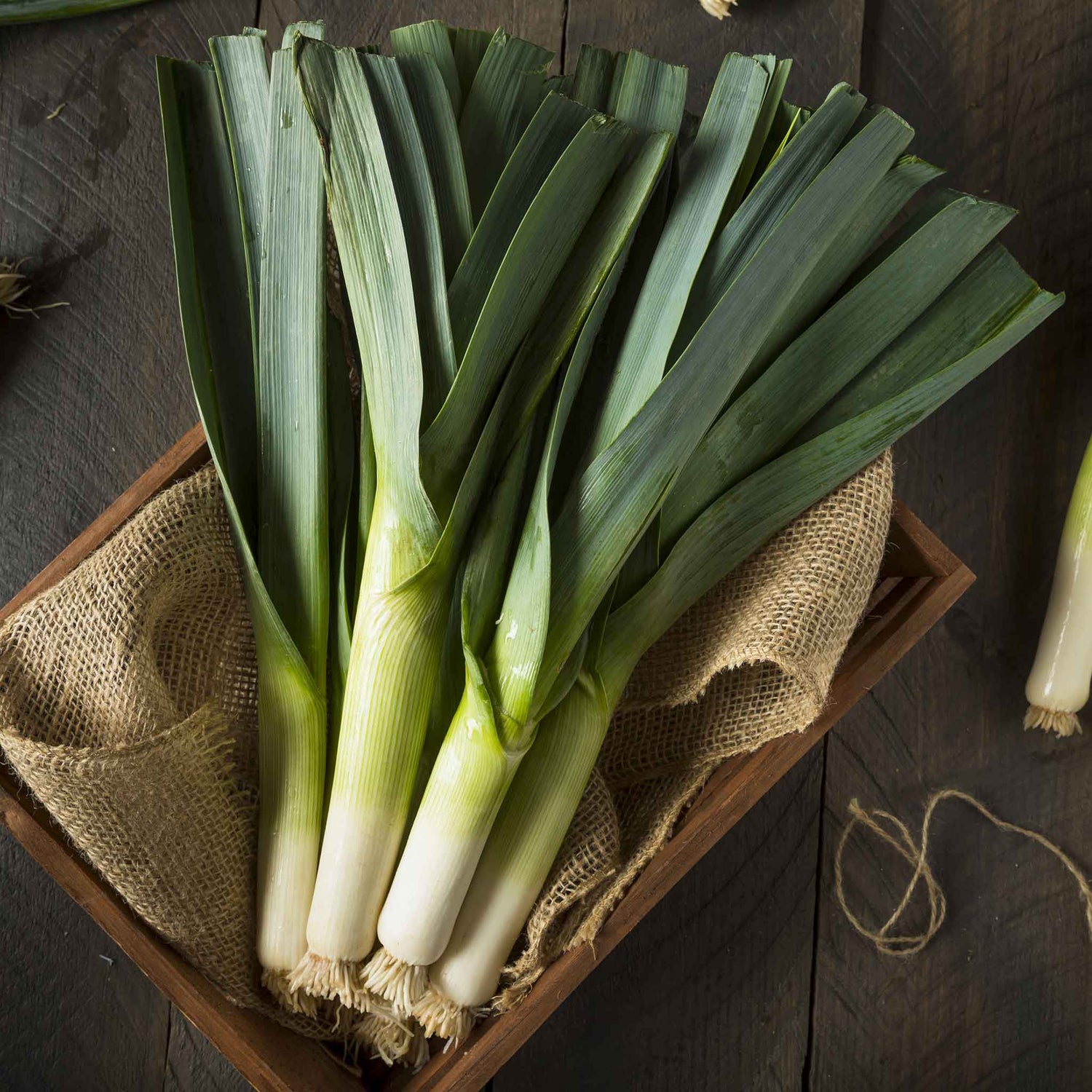 Leek Seeds (Heirloom)