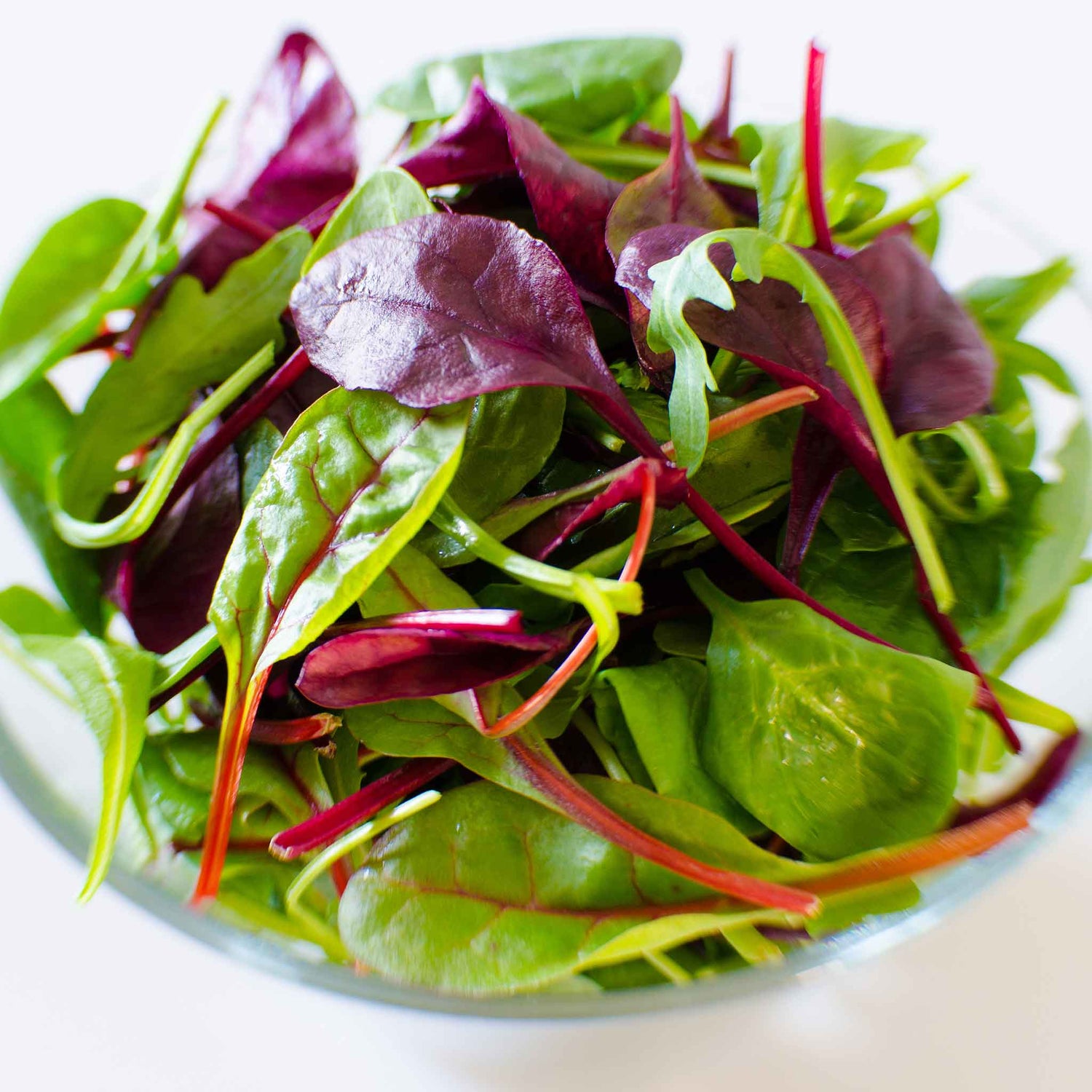 Organic Microgreen Seeds