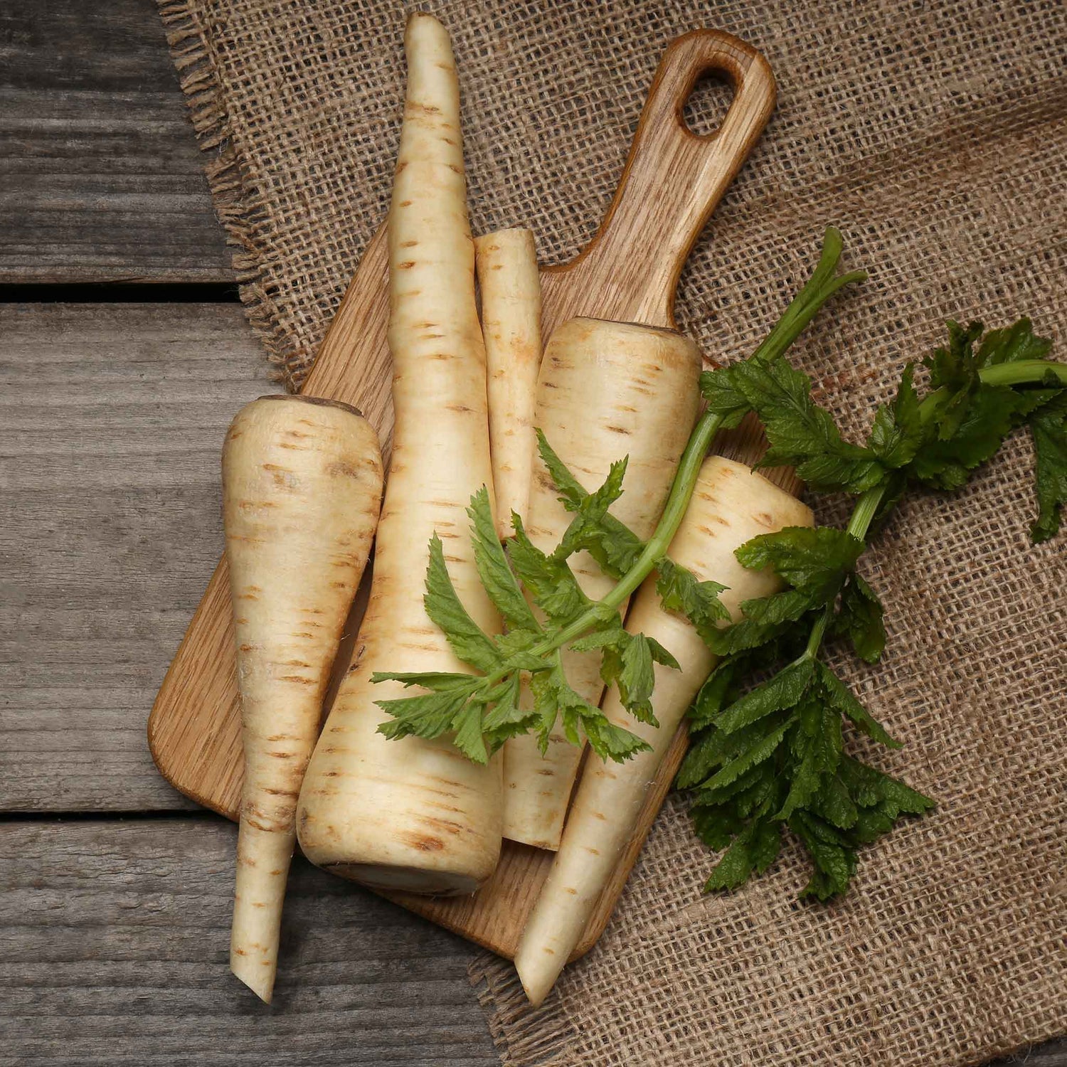Parsnip Seeds (Heirloom)