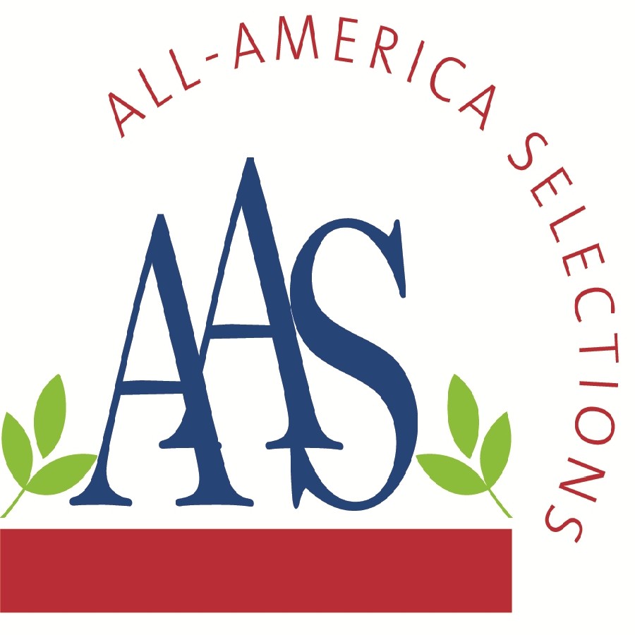 aas winners veggies