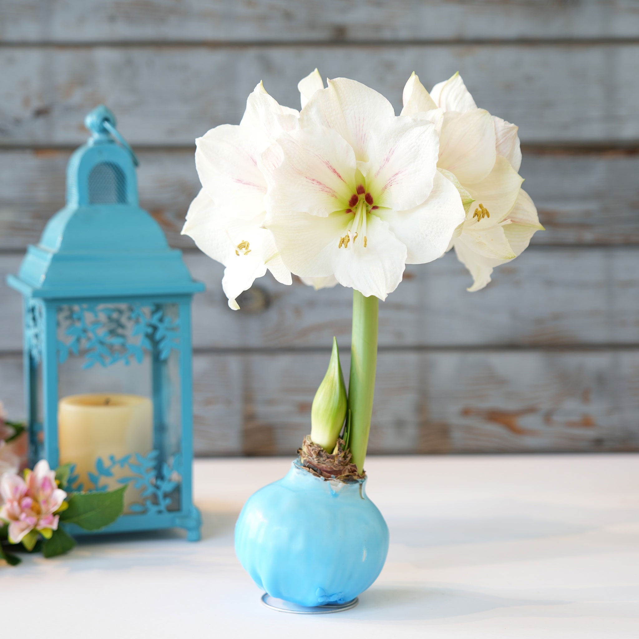 mother's day gift ideas