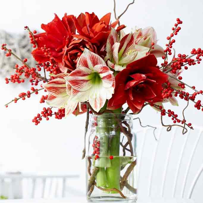 holiday gift ideas