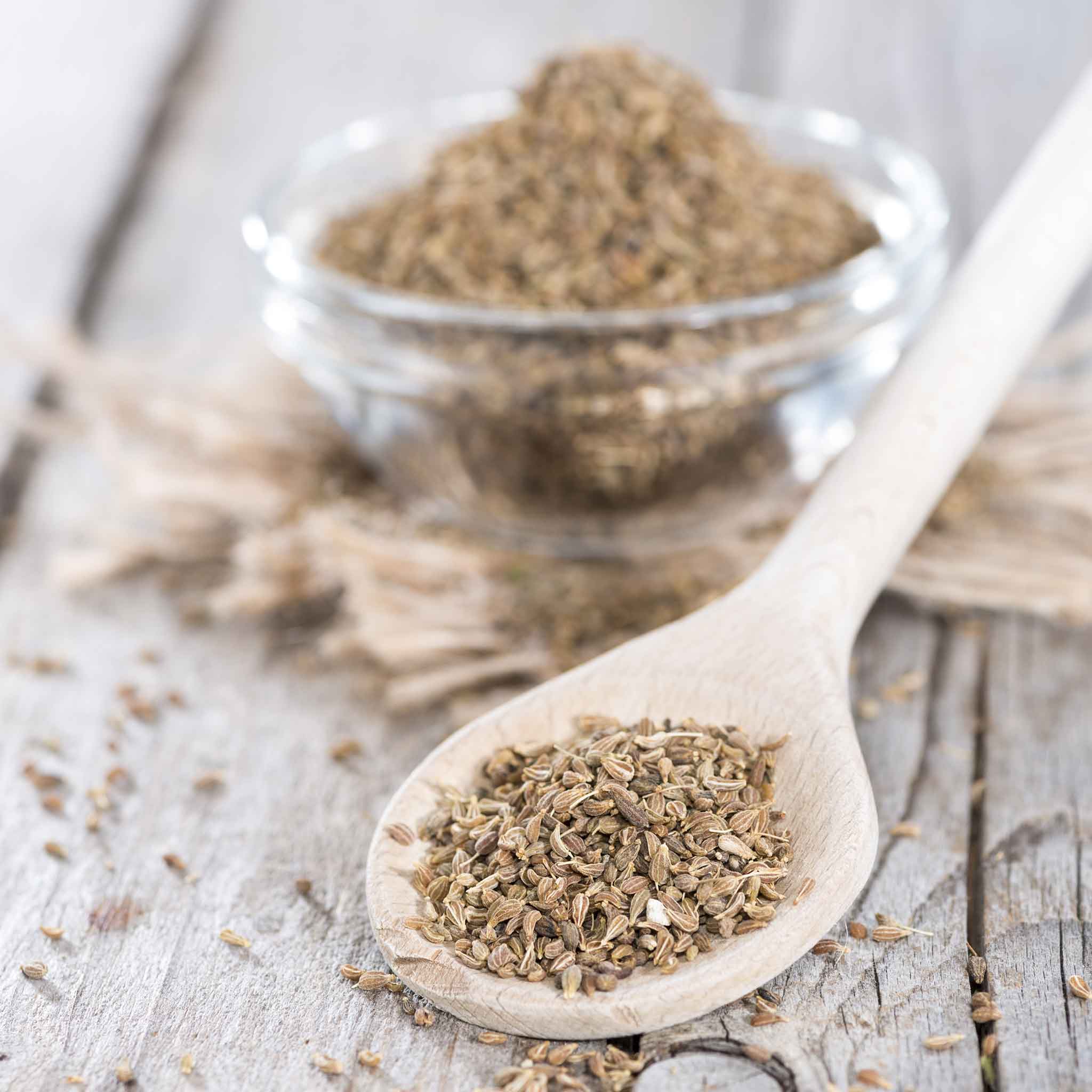anise herb