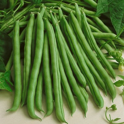 garden sown vegetable seeds