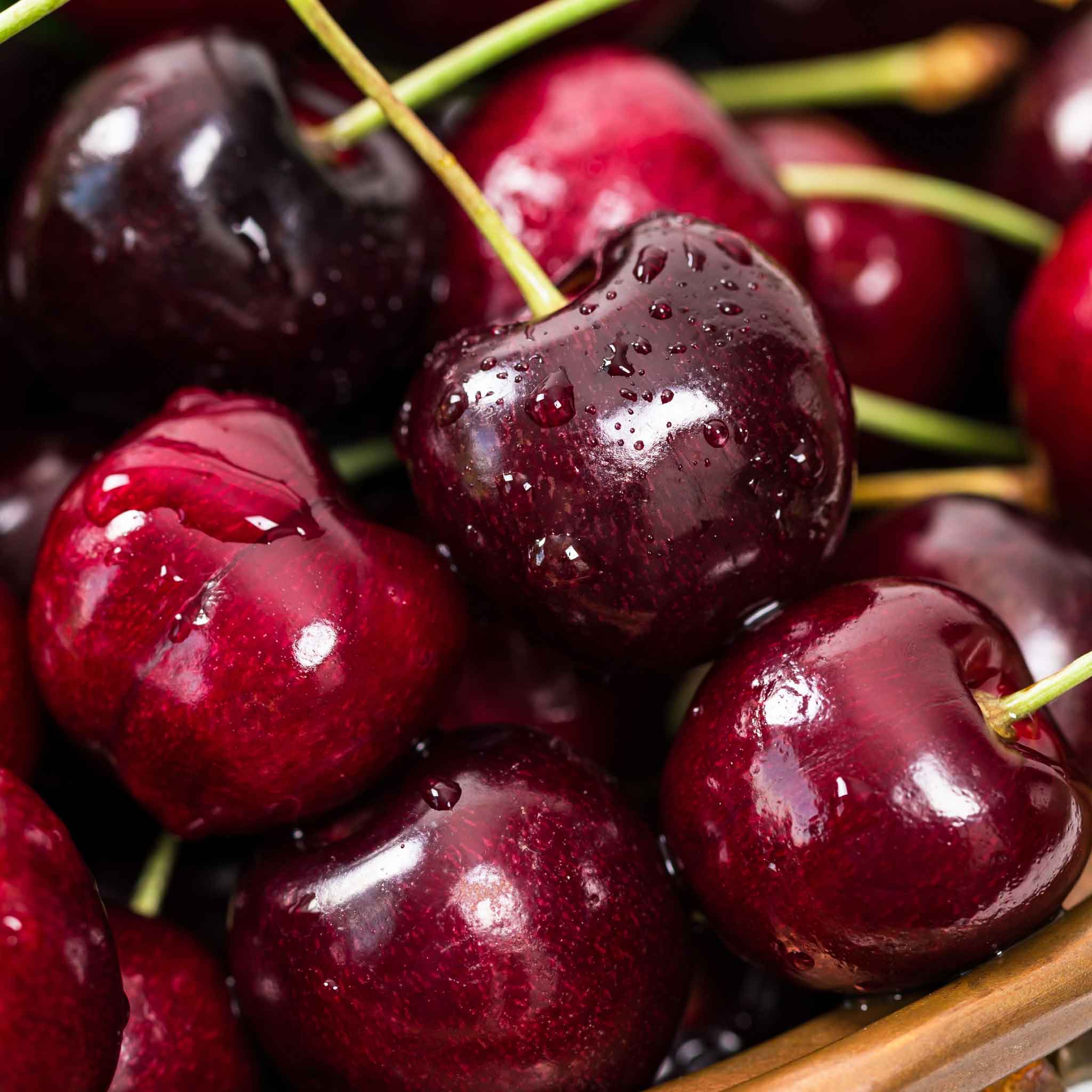 Cherry Trees