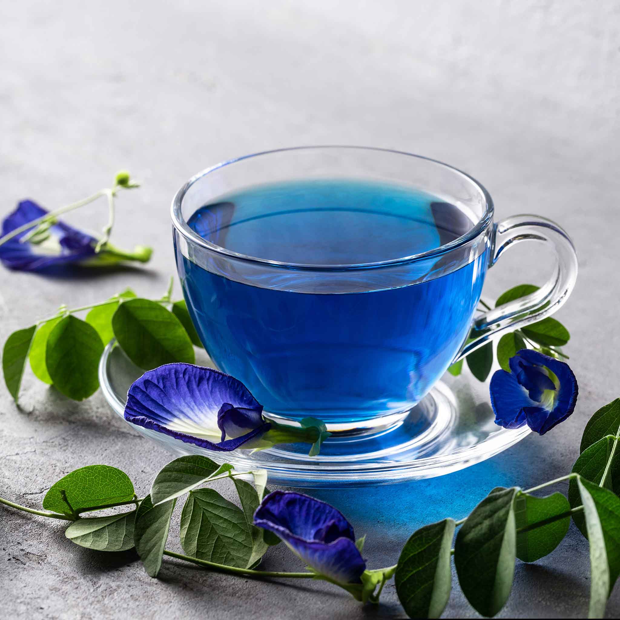 butterfly pea seeds