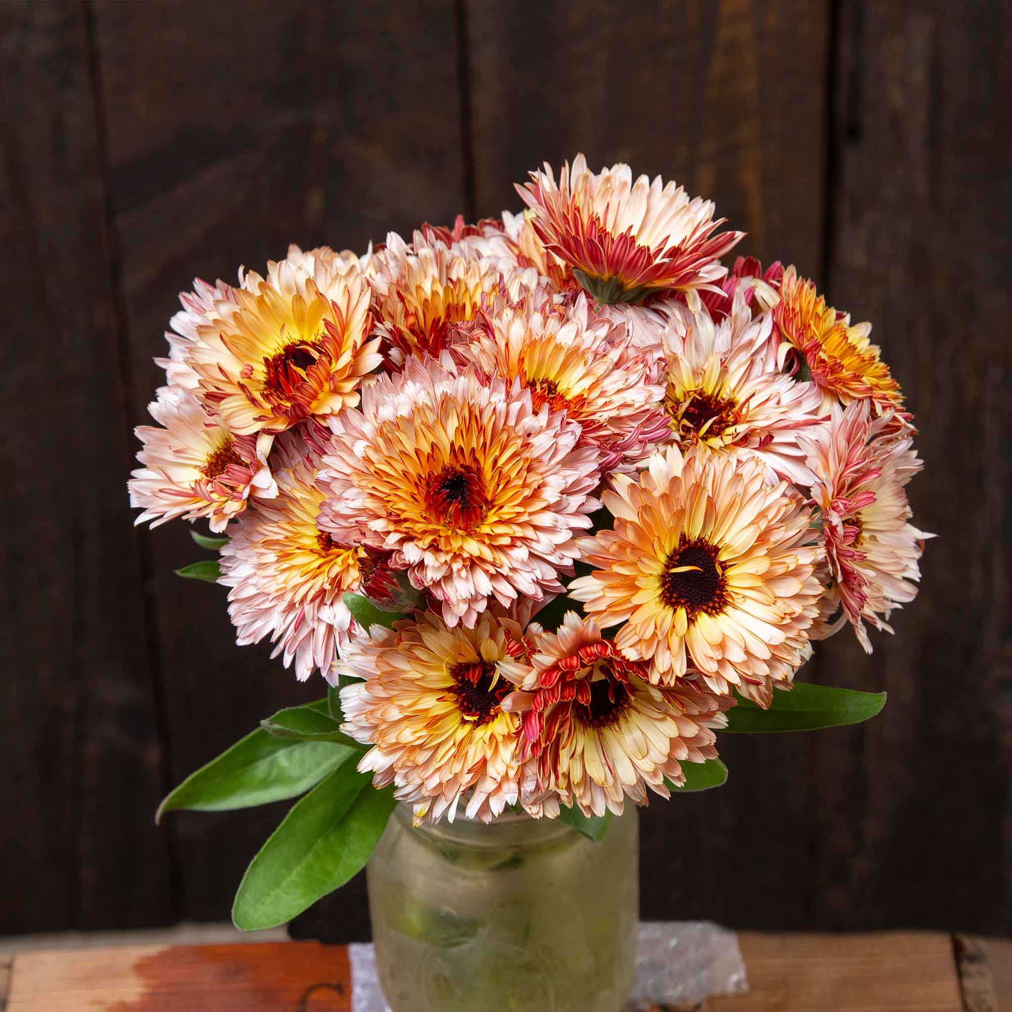 organic calendula seeds