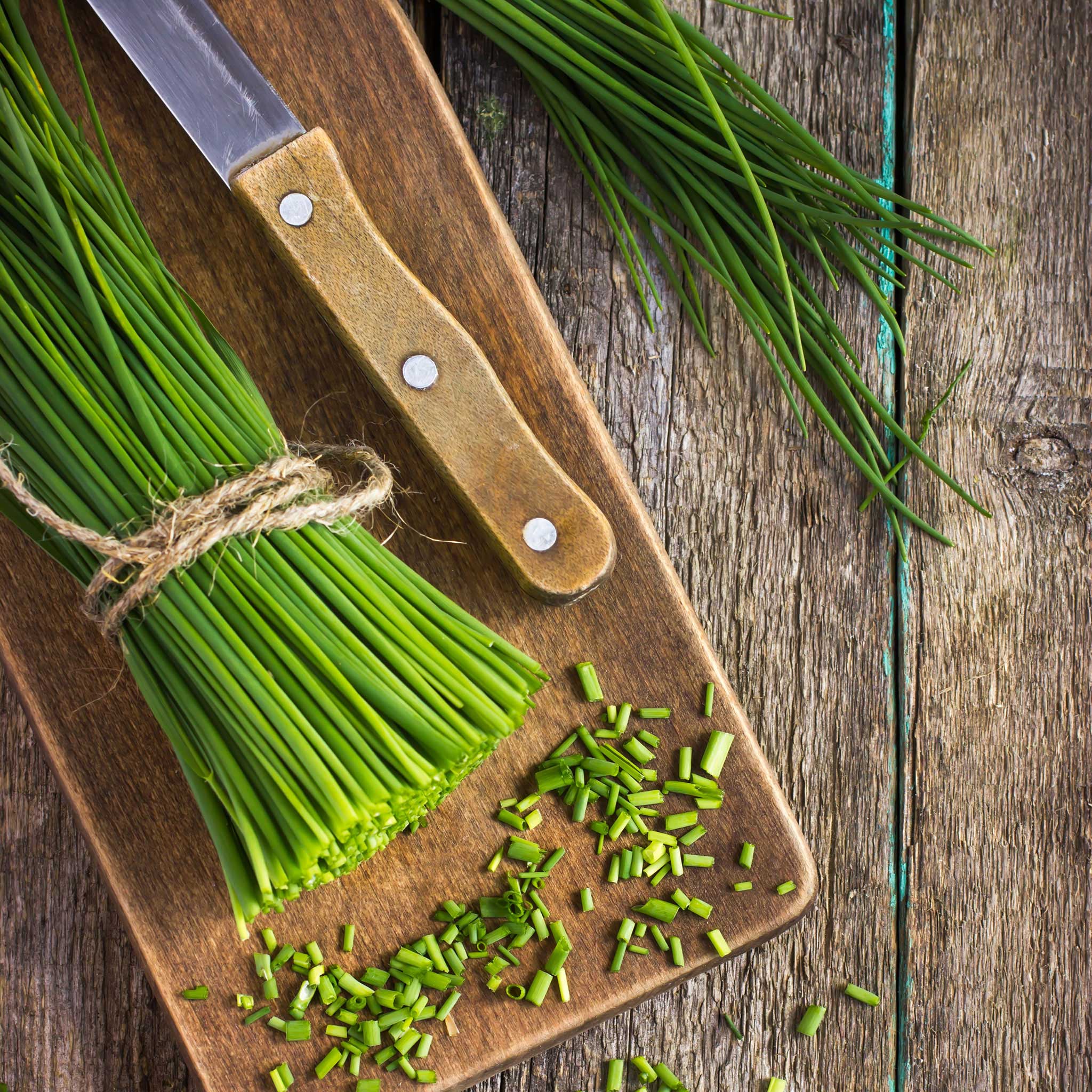 heirloom chives seeds