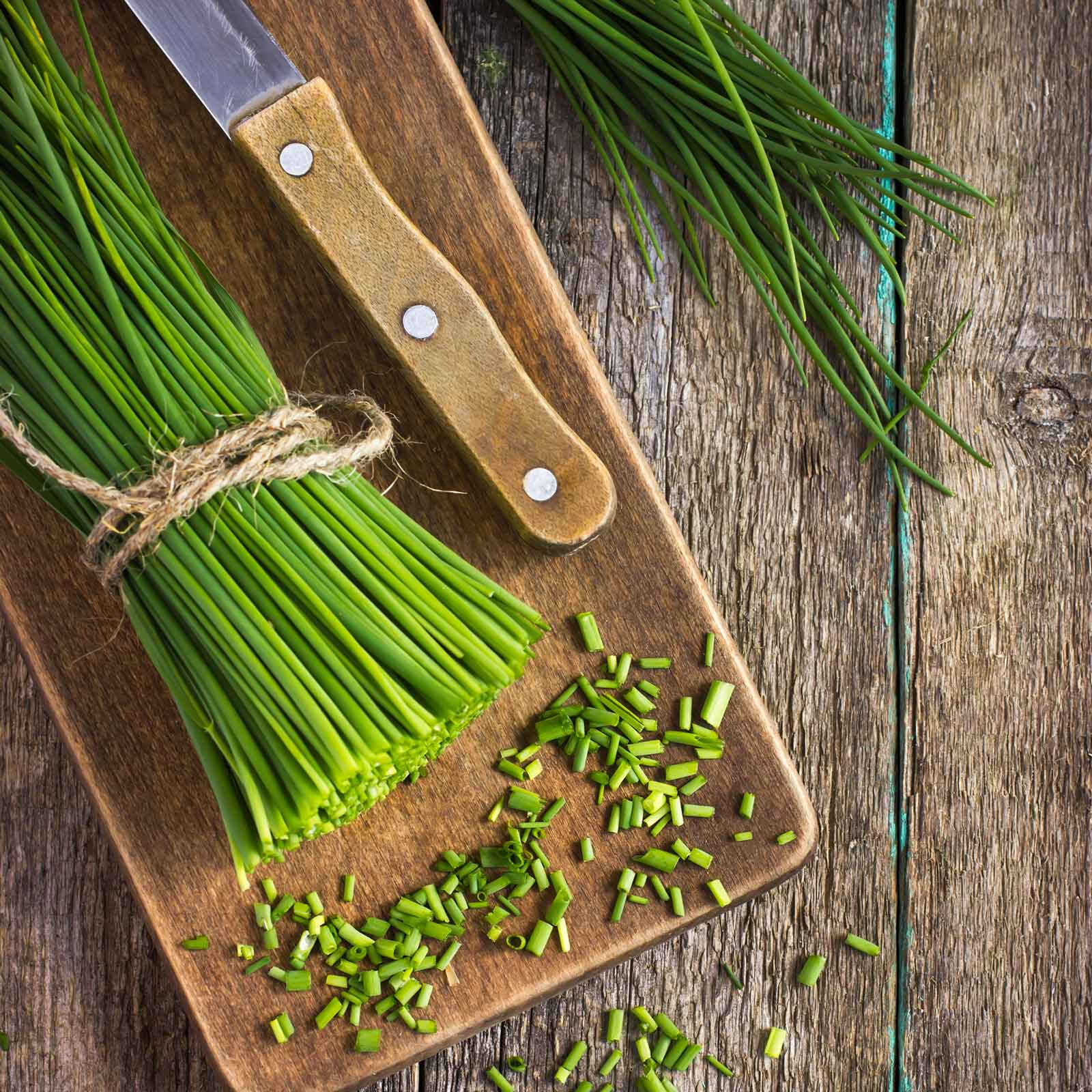 chives seeds