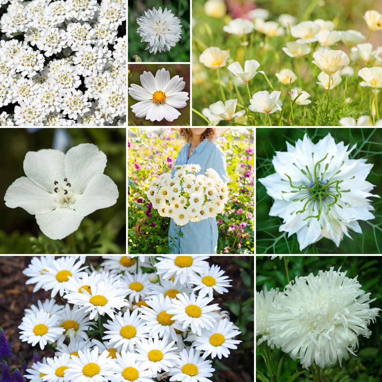 White Flower Seeds and Bulbs