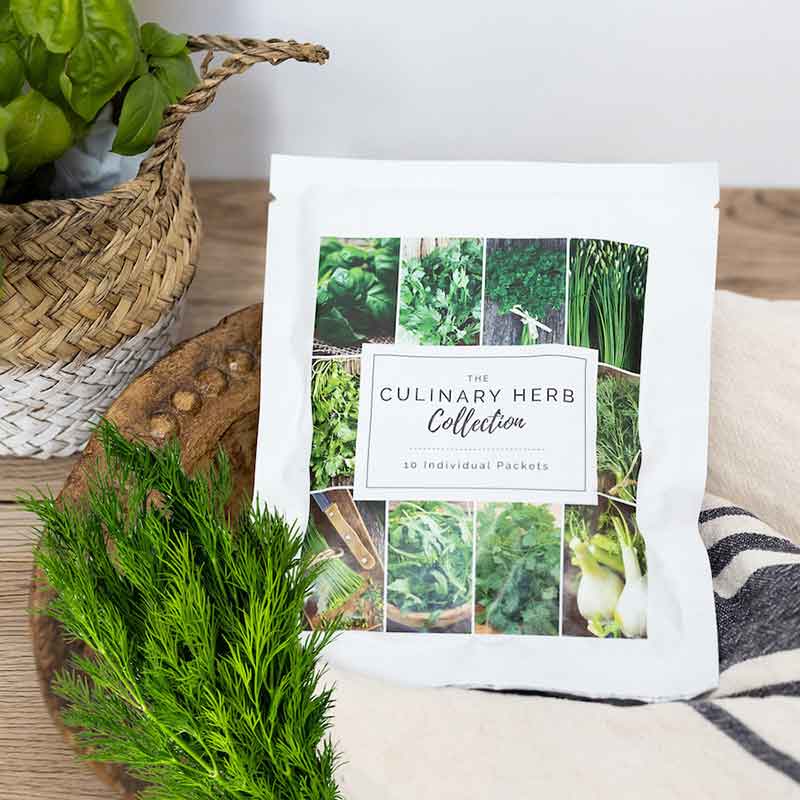 seed collections