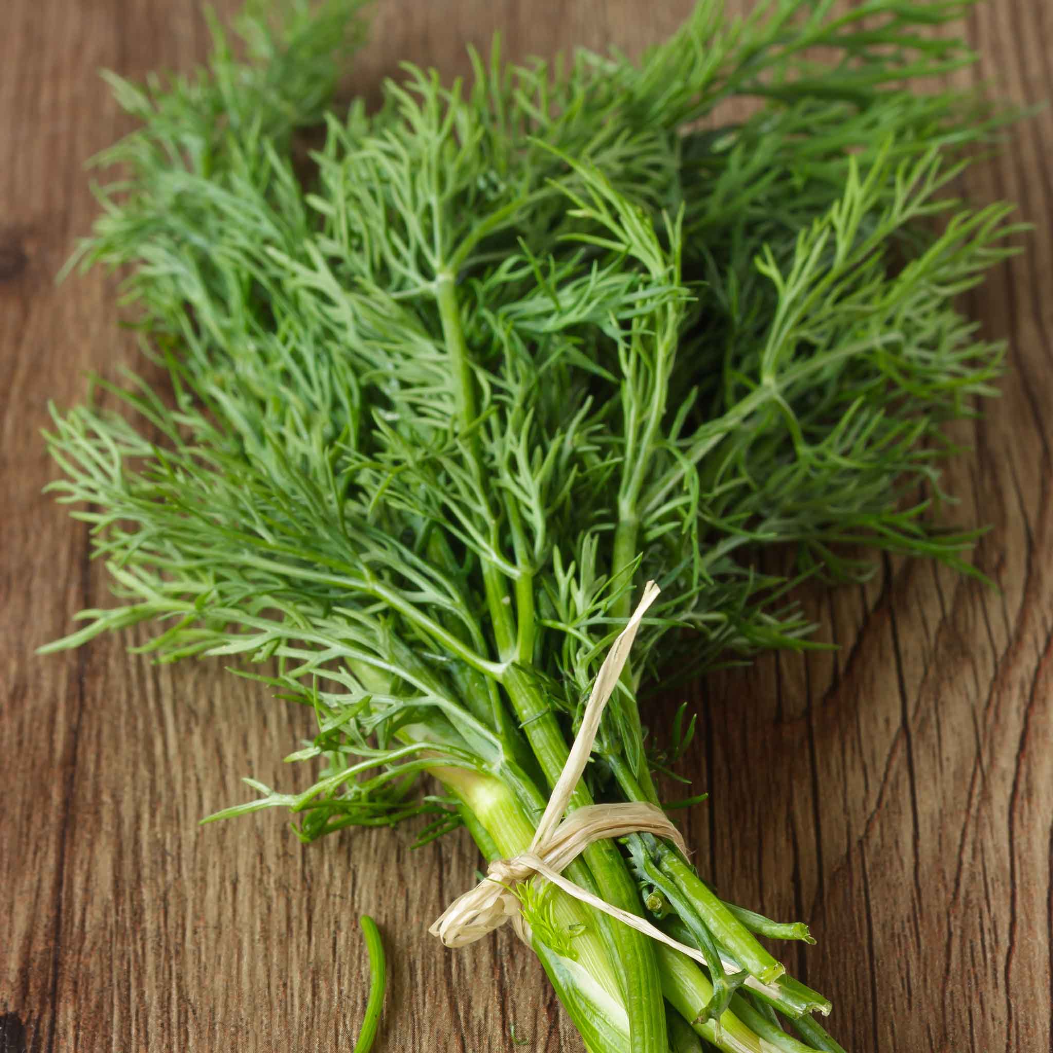 annual herbs