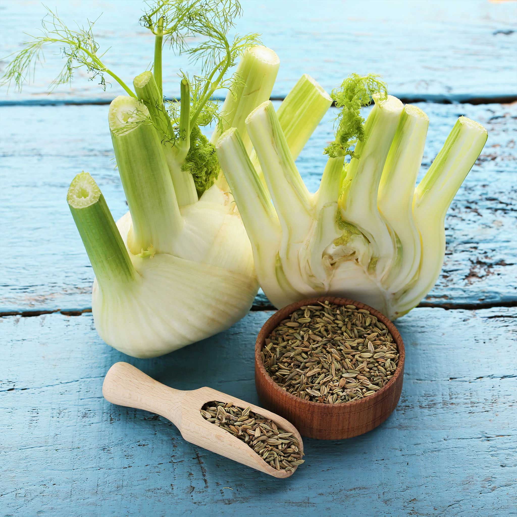 heirloom fennel seeds