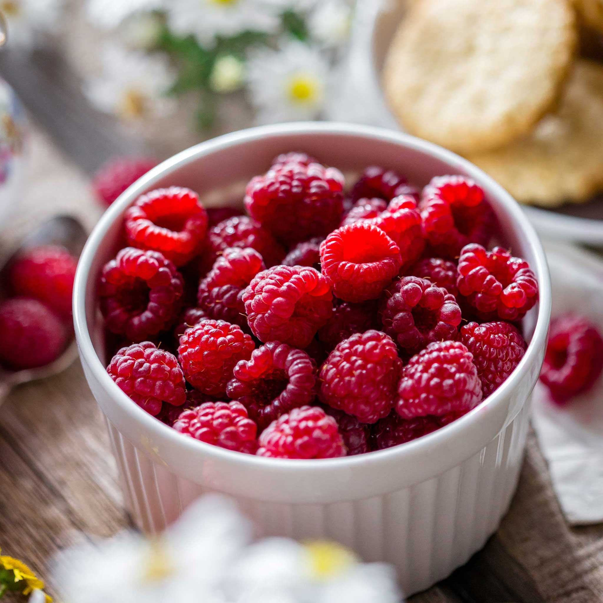 Raspberry Bushes