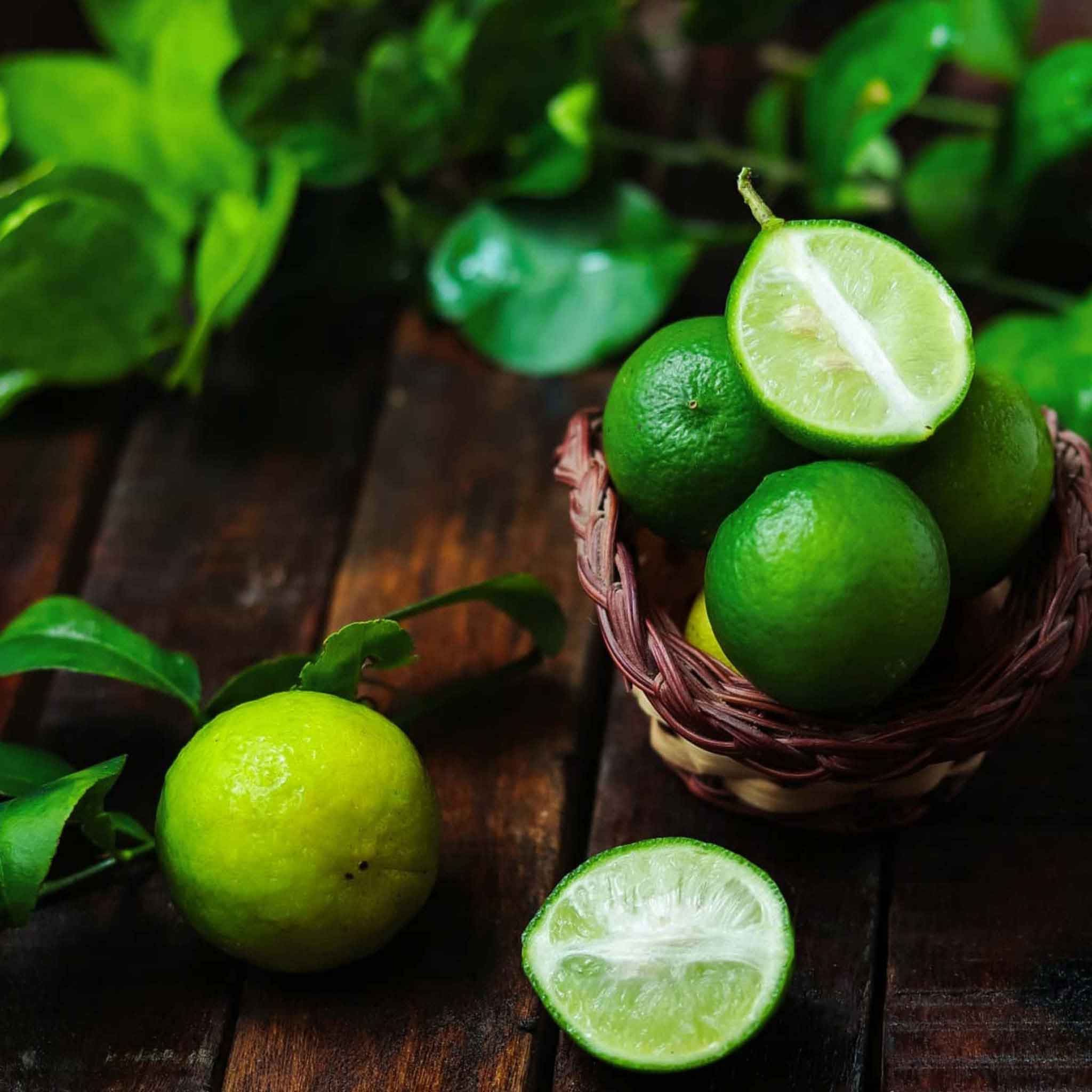 Lime Plants