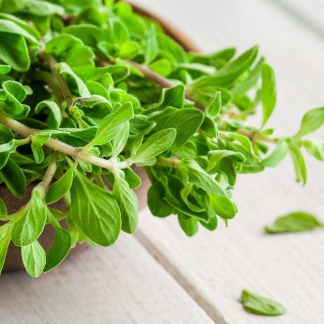 medicinal herbs