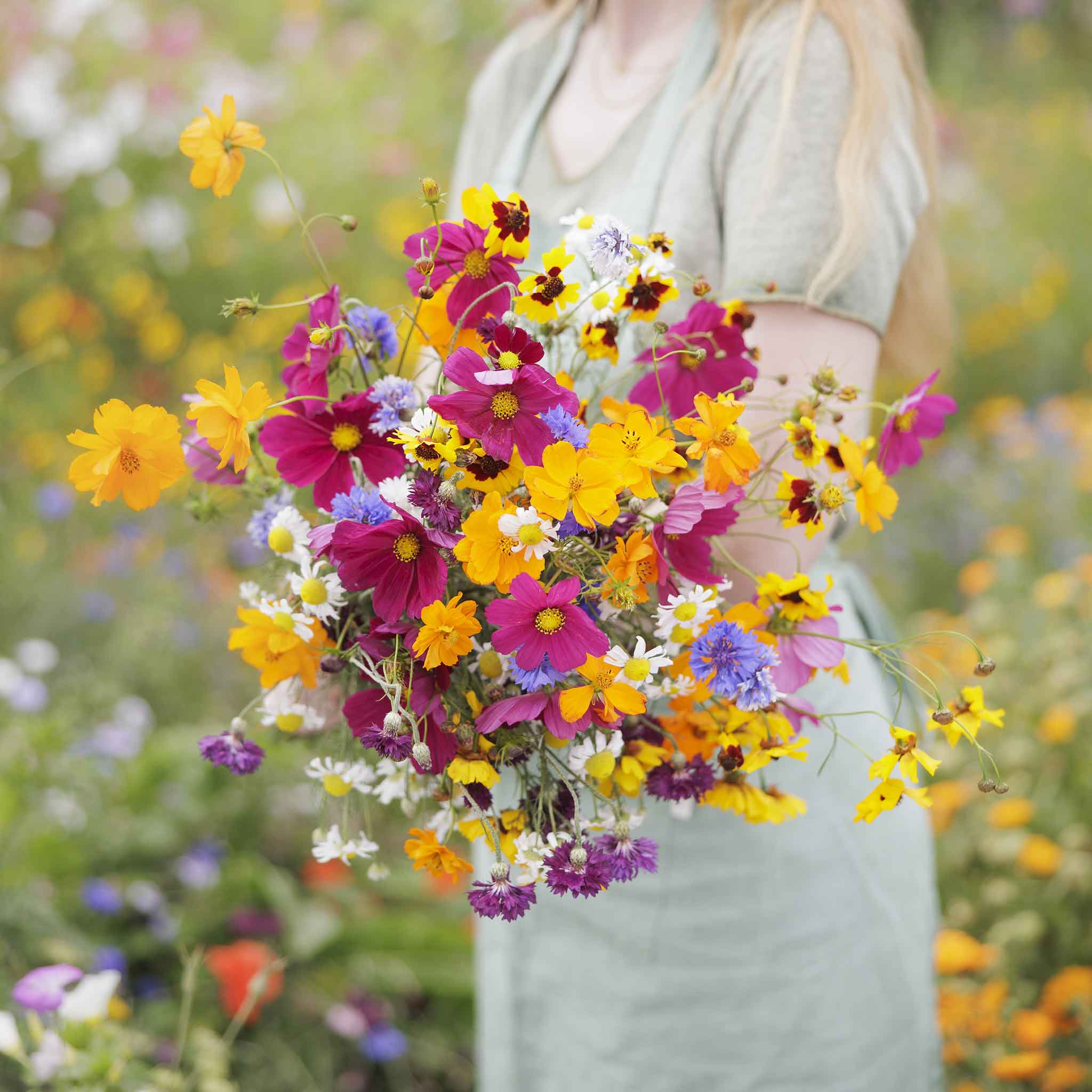 midwest wildflower seed mixes