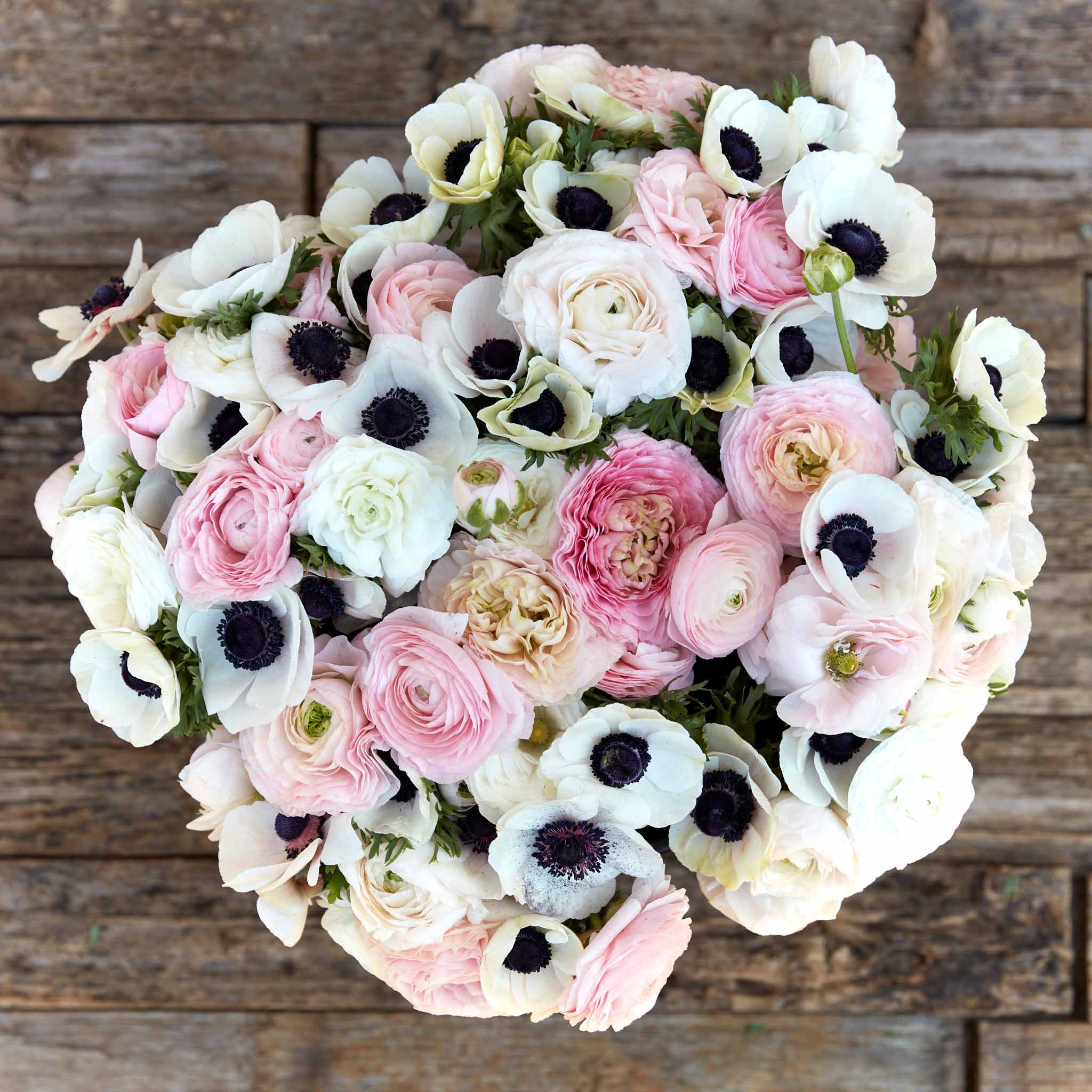 Anemone & Ranunculus