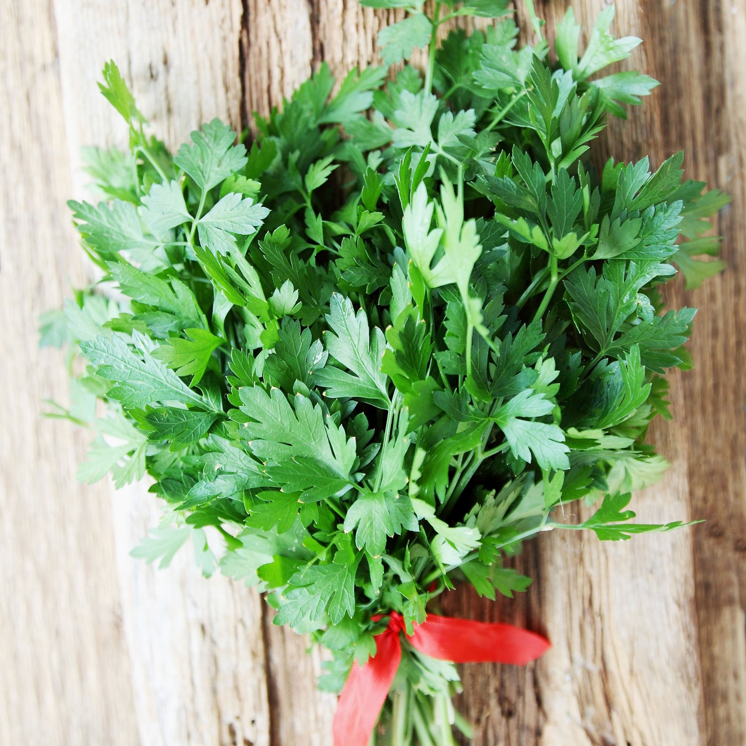 Organic Parsley Seeds