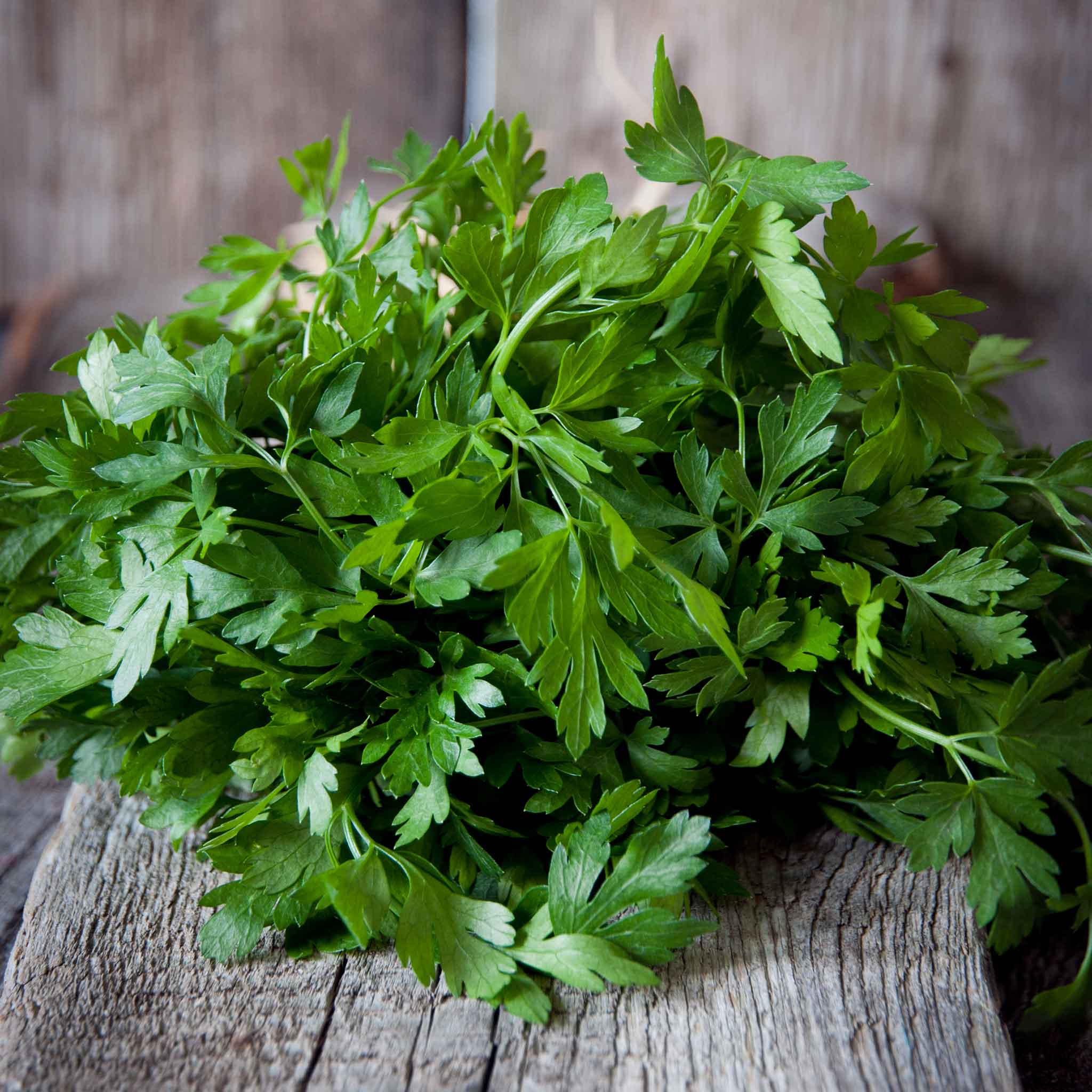 organic parsley seeds
