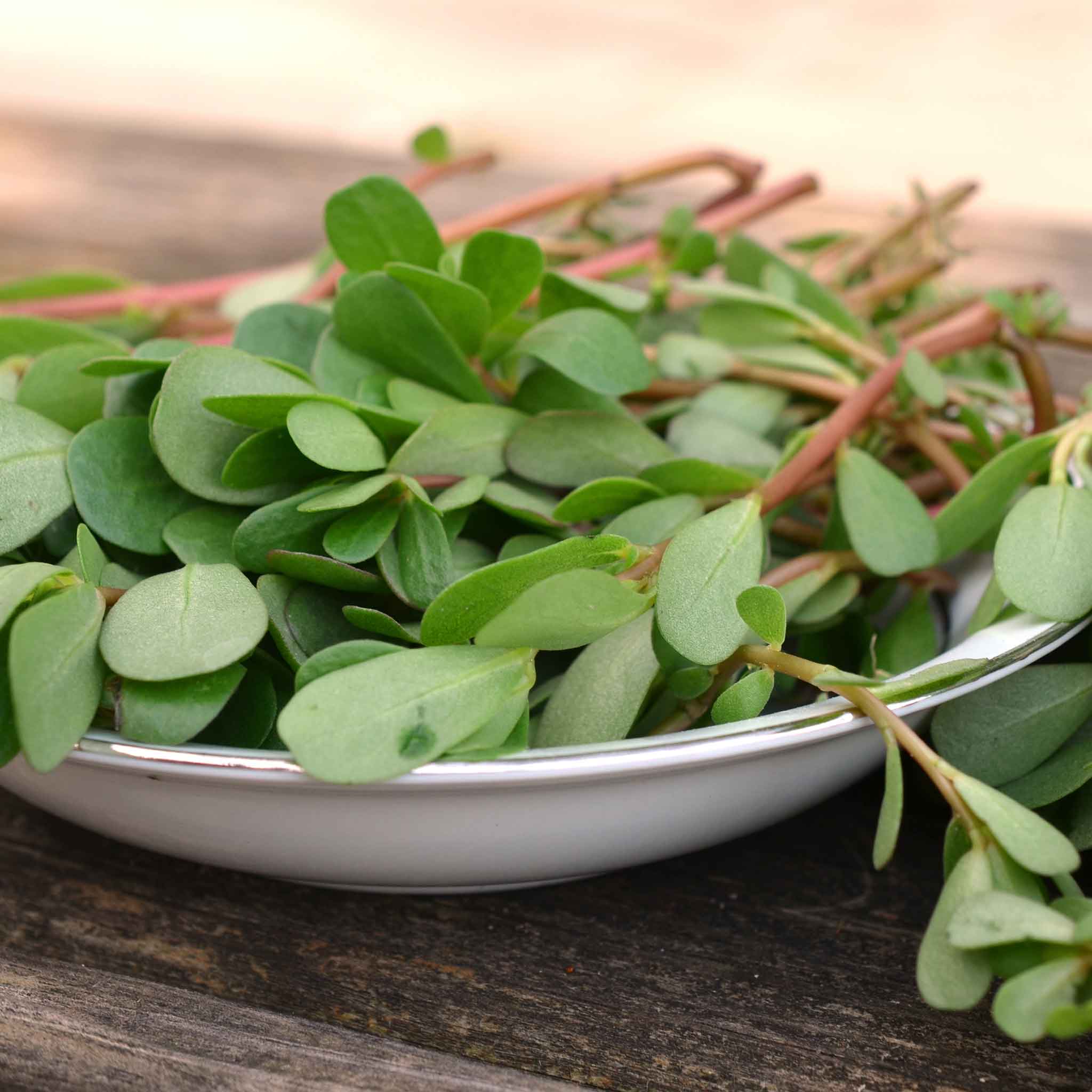 purslane seeds