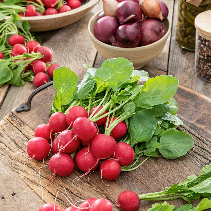 organic radish seeds