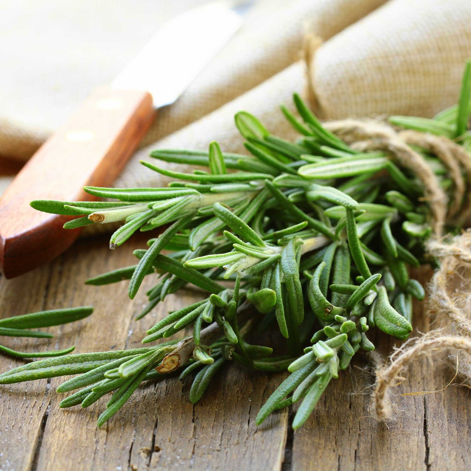 Rosemary Seeds