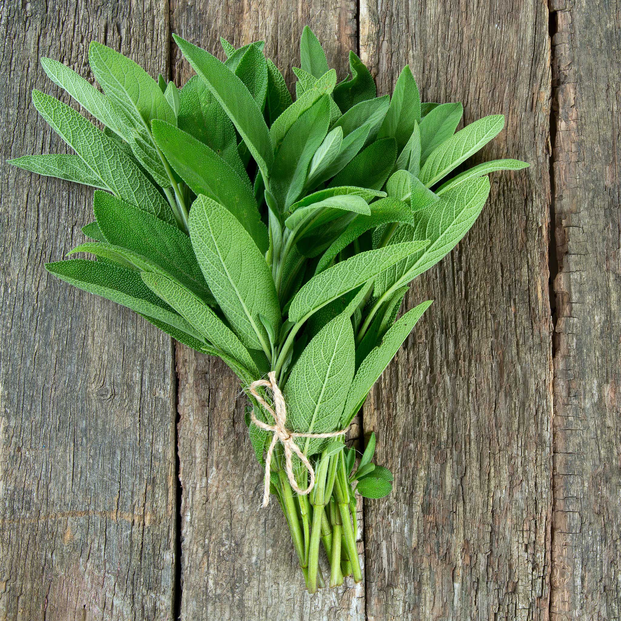 heirloom broadleaf seeds