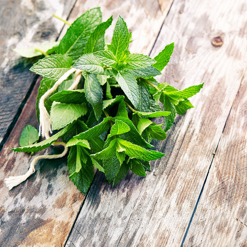 spearmint seeds