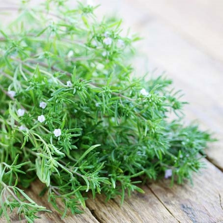 summer savory seeds