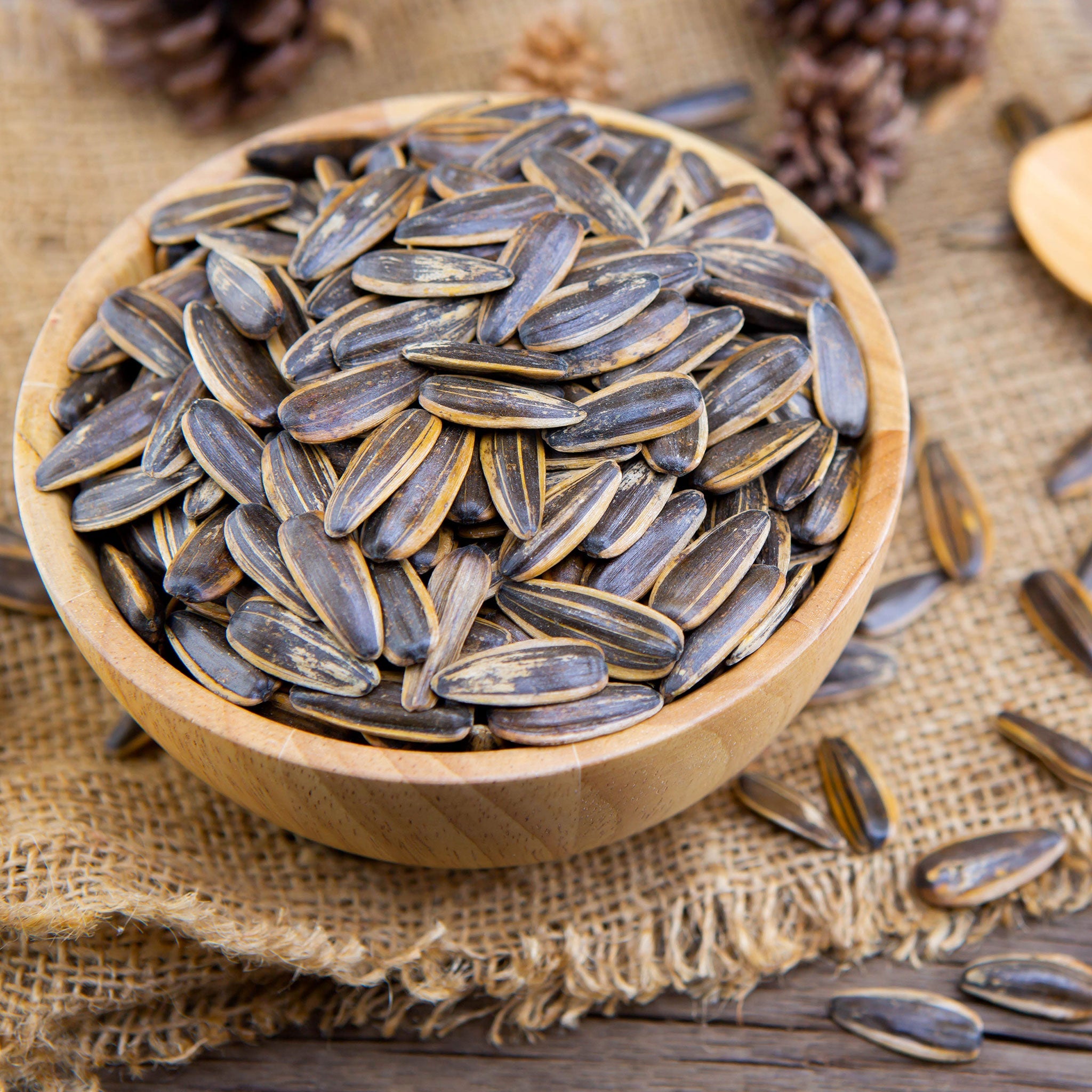 shop all seeds