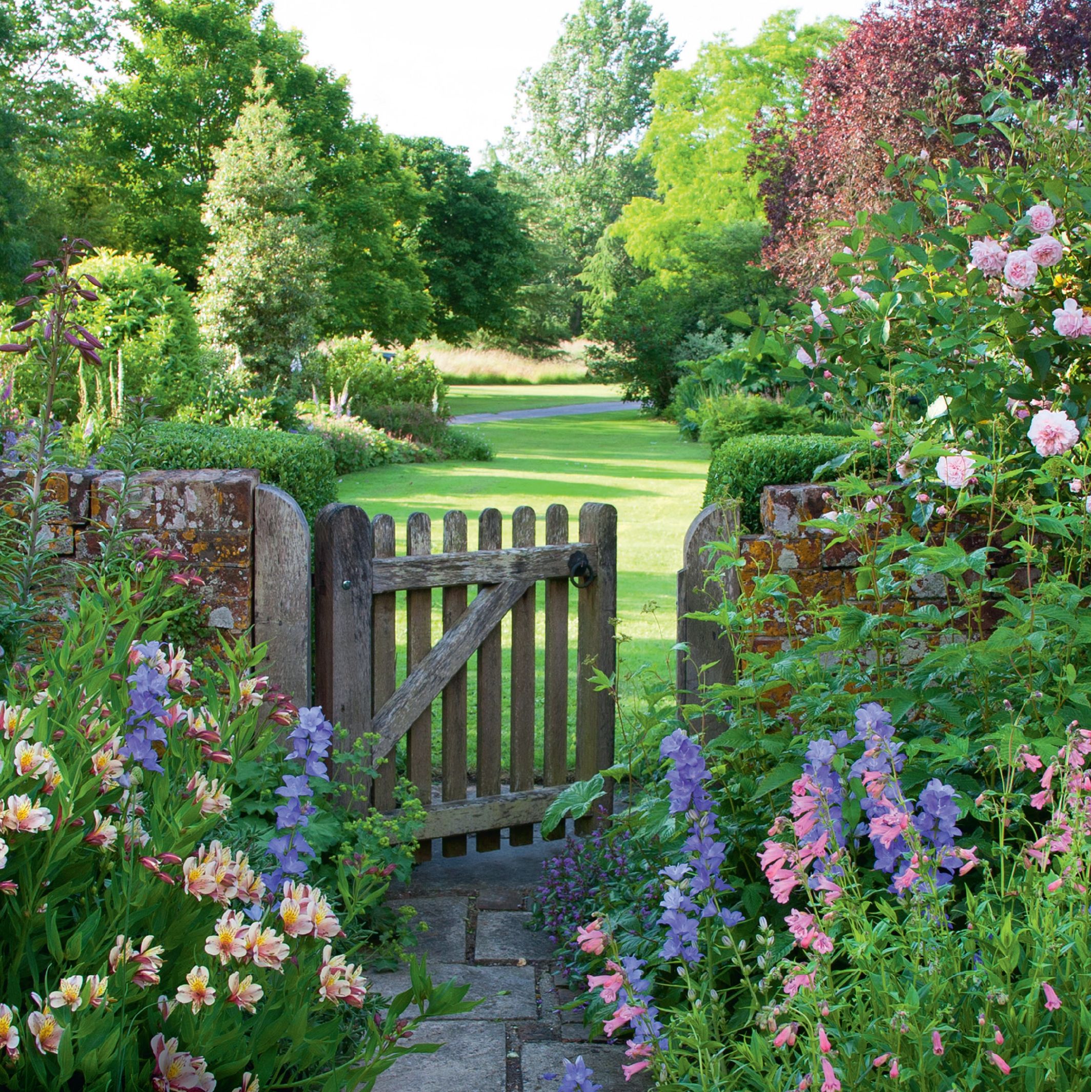 cottage garden flower seeds & bulbs