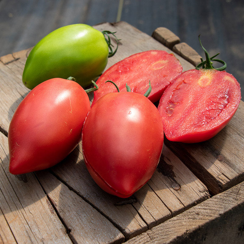 new vegetable seeds