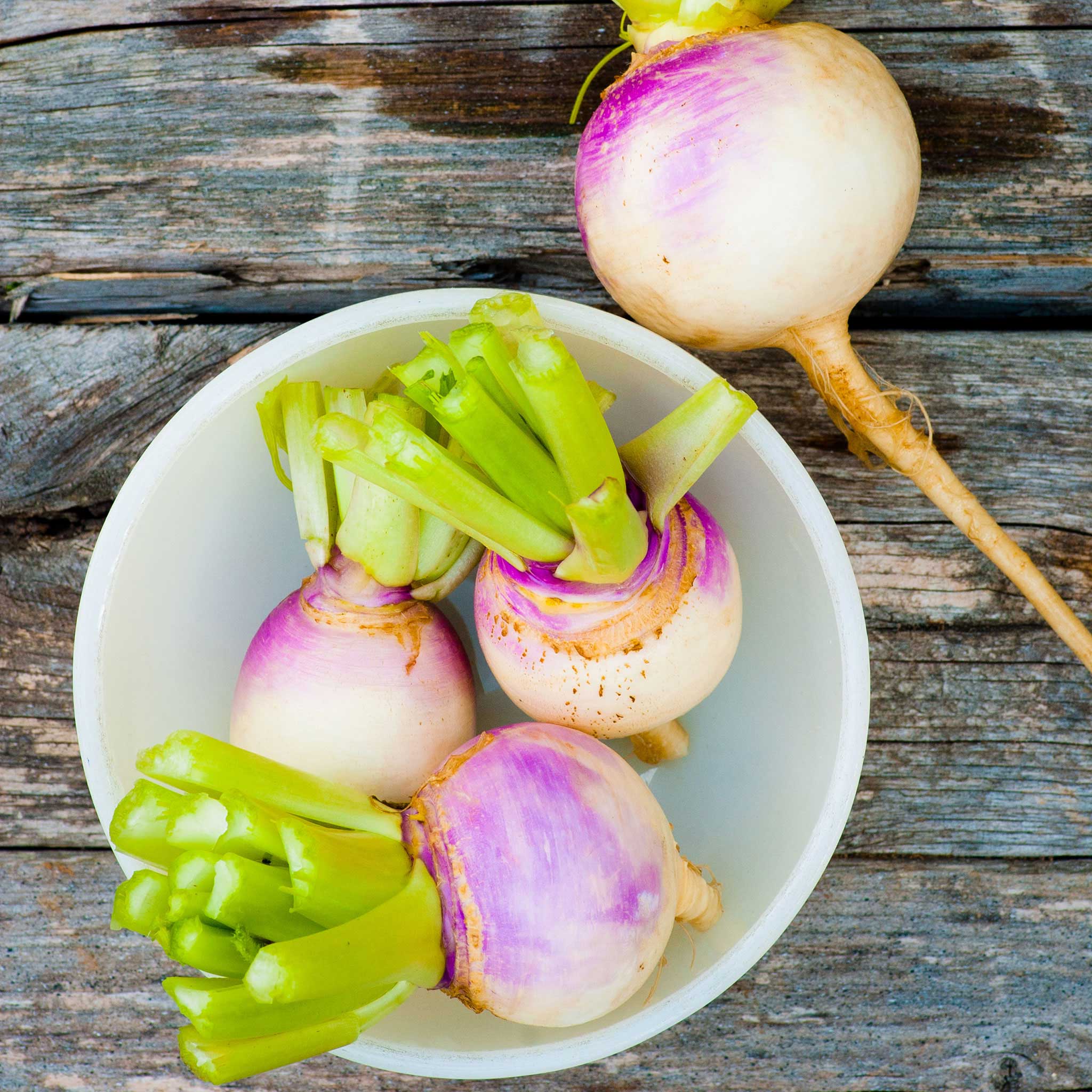 heirlom turnip seeds
