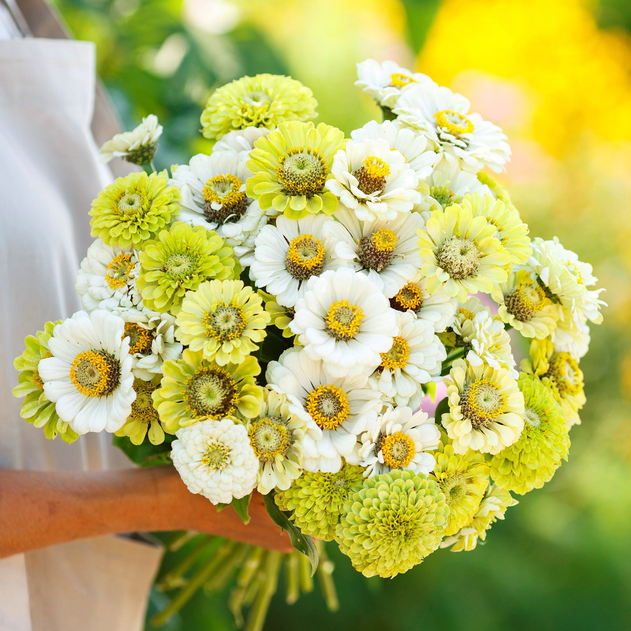 green wildflower seed mixes