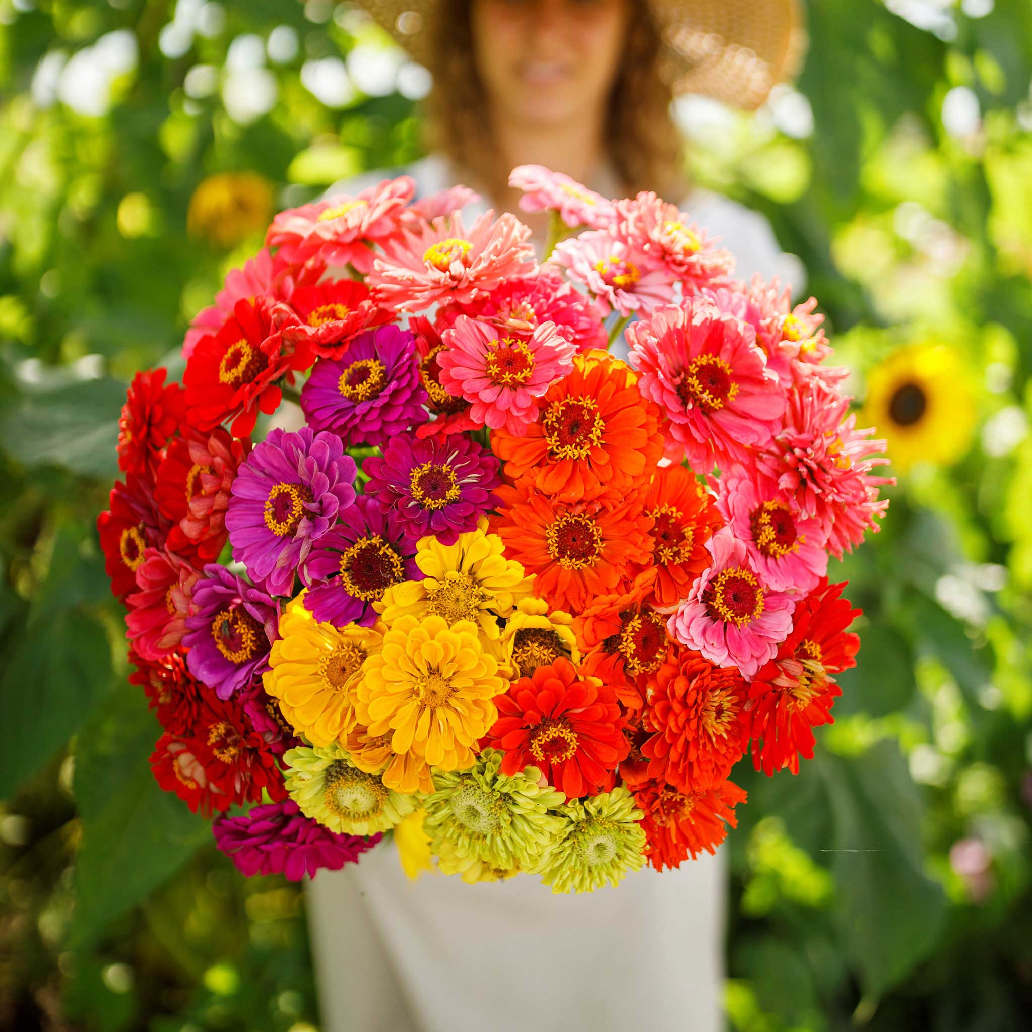 easy to grow & maintain seeds and flower bulbs