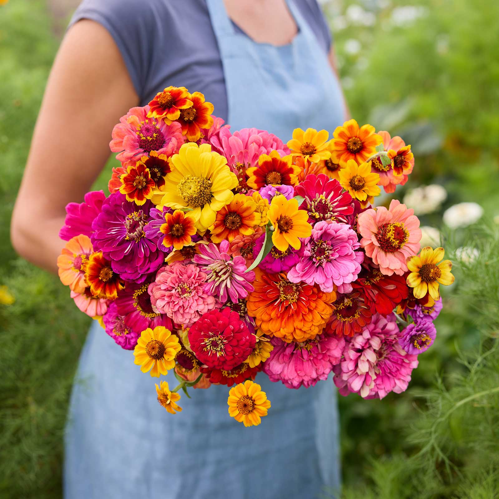Plant in Spring for Summer Blooms!