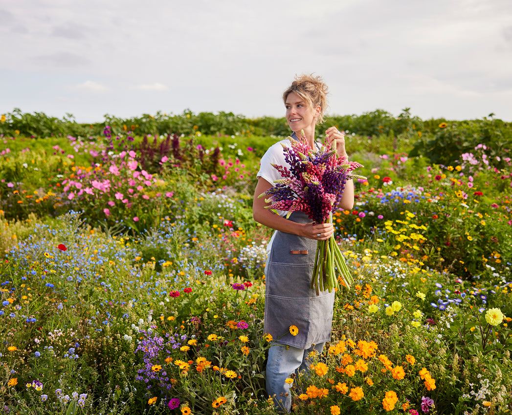 A woman standing in a vibrant wildflower field, holding a large bouquet of purple, pink, and yellow flowers. She is wearing a white t-shirt, blue jeans, and a gray apron.