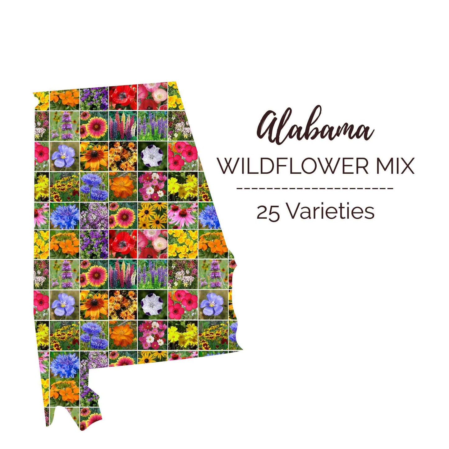 alabama wildflower seed mix