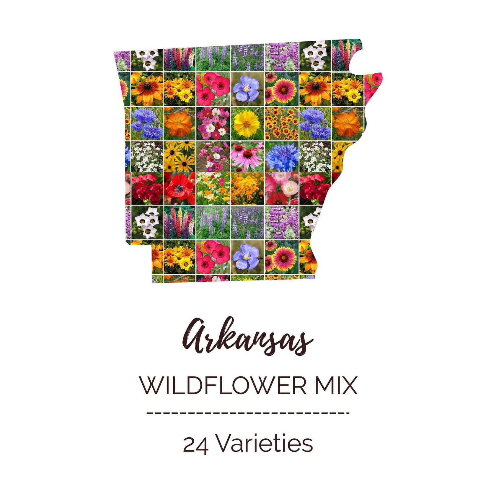 Arkansas Wildflower Seed Mix Eden Brothers