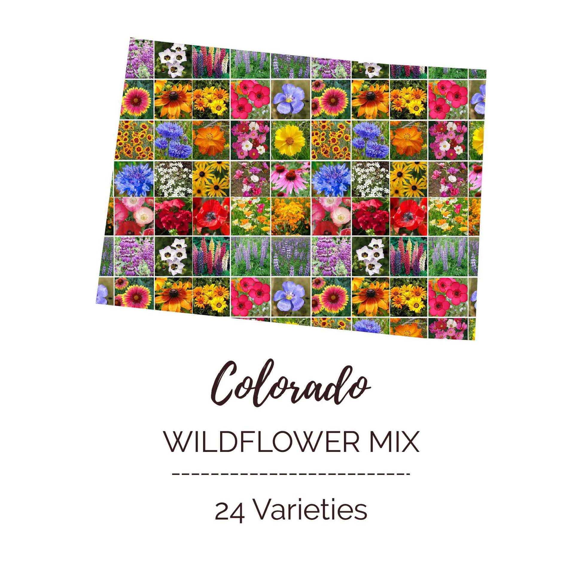 Colorado Wildflower Seed Mix