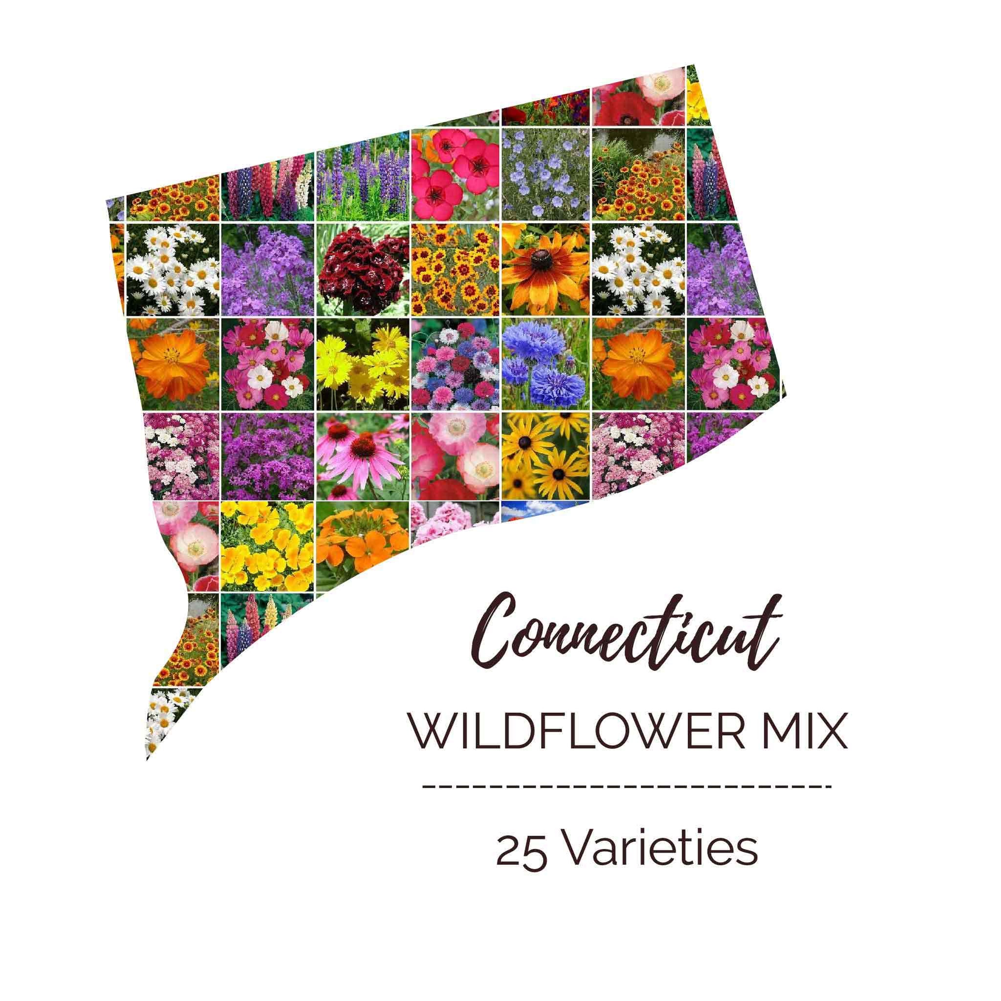 Connecticut Wildflower Seed Mix Eden Brothers