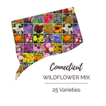 Graphic of the outline of the state for Connecticut Wildflower Seed Mix that contains images of the flowers in the mix