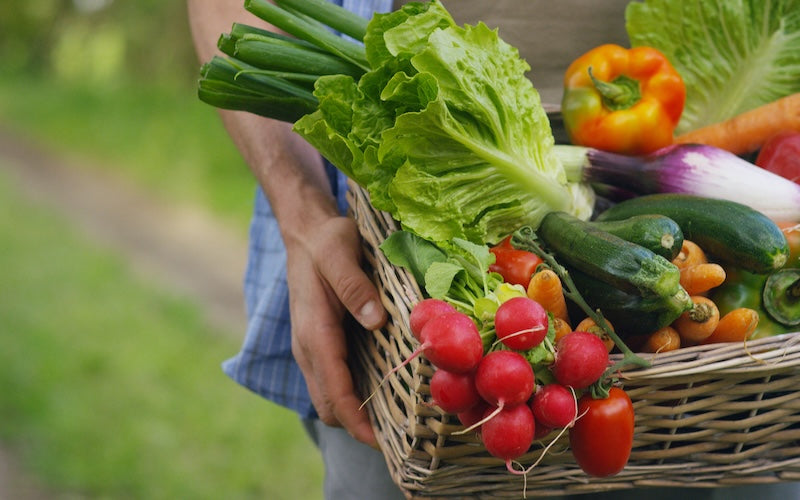 Basket of Fresh Vegetables