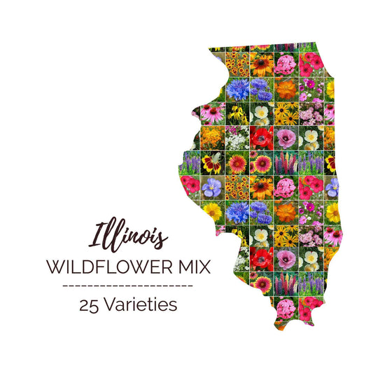 illinois wildflower seed mix