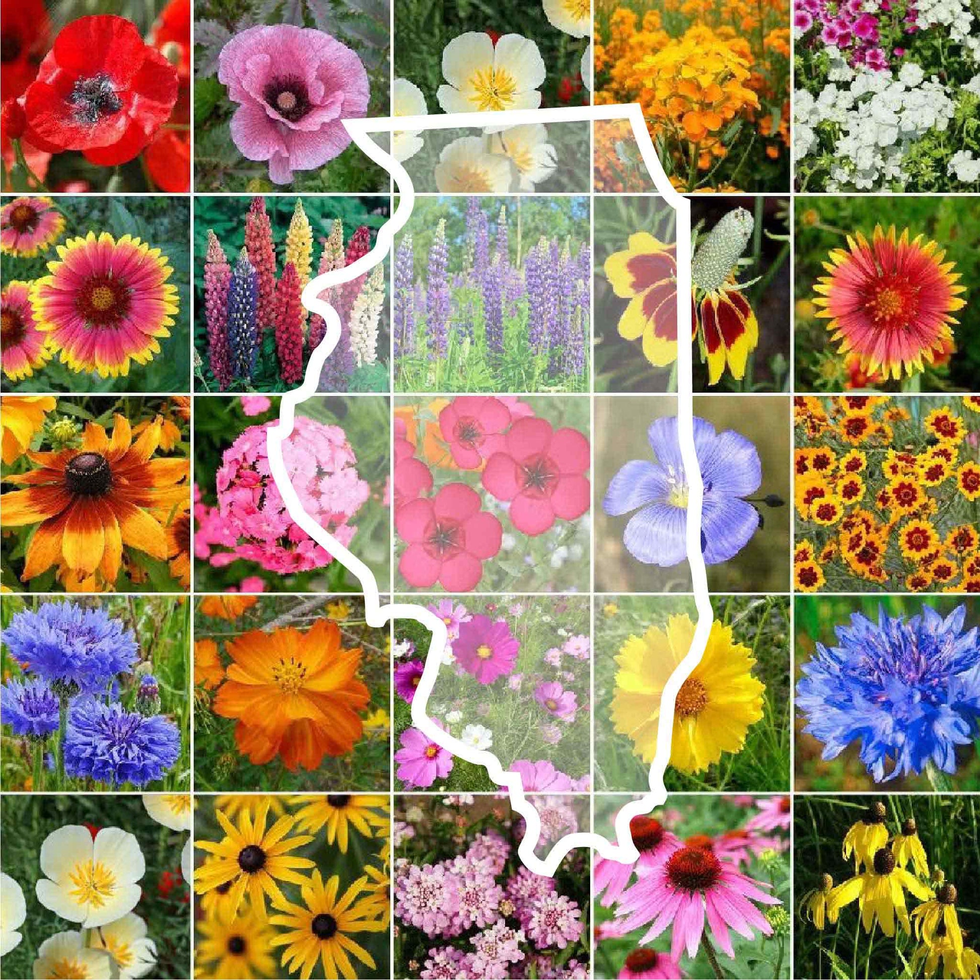 illinois wildflower seed mix