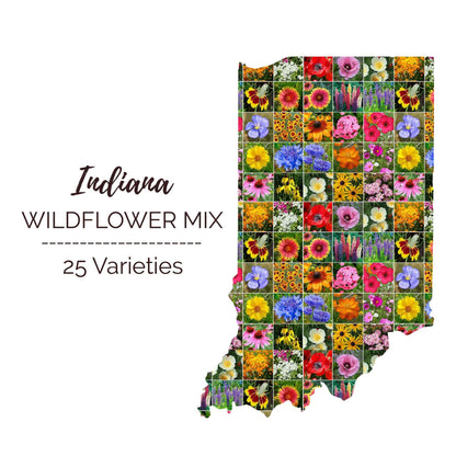 Graphic of the outline of the state for Indiana Wildflower Seed Mix that contains images of the flowers in the mix